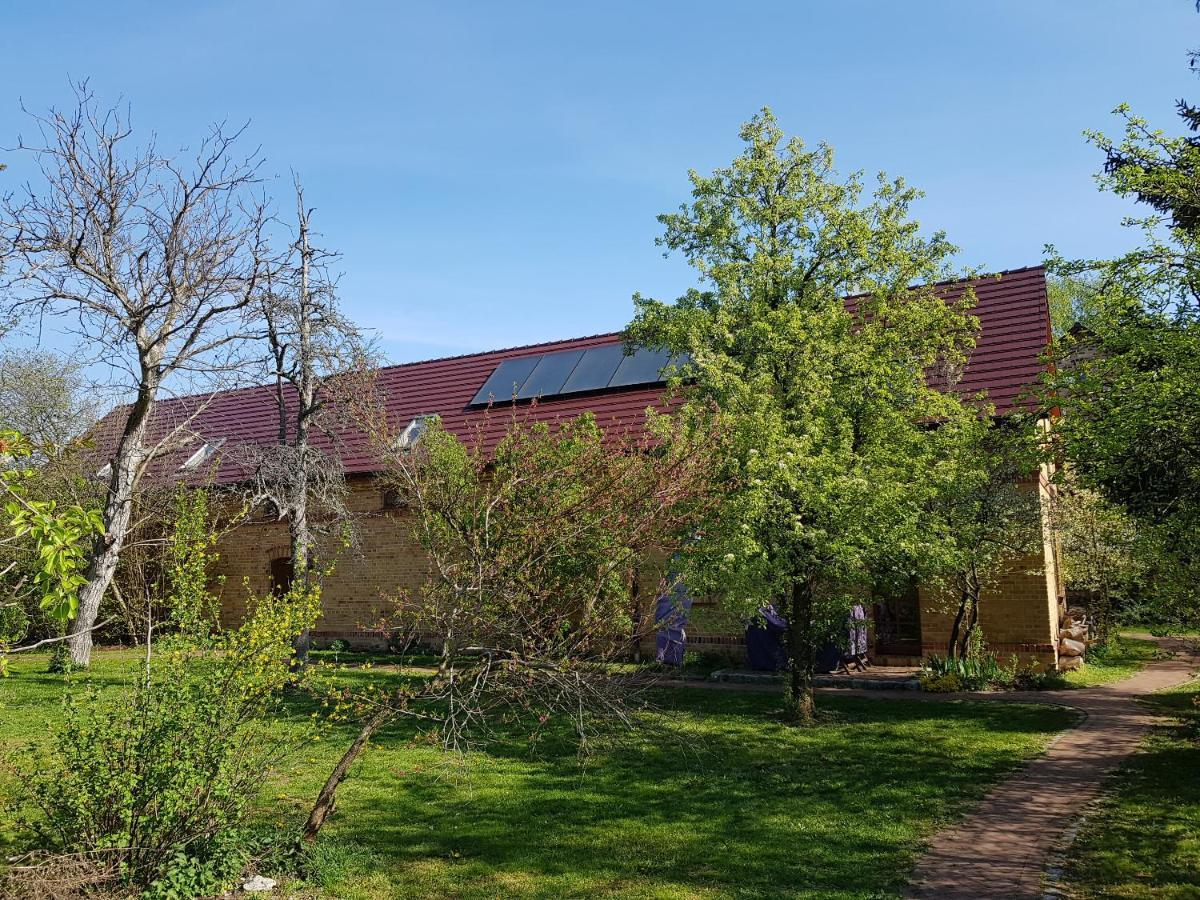 Ferienhaus Auf Dem Hof Lechner Drieschnitz Extérieur photo